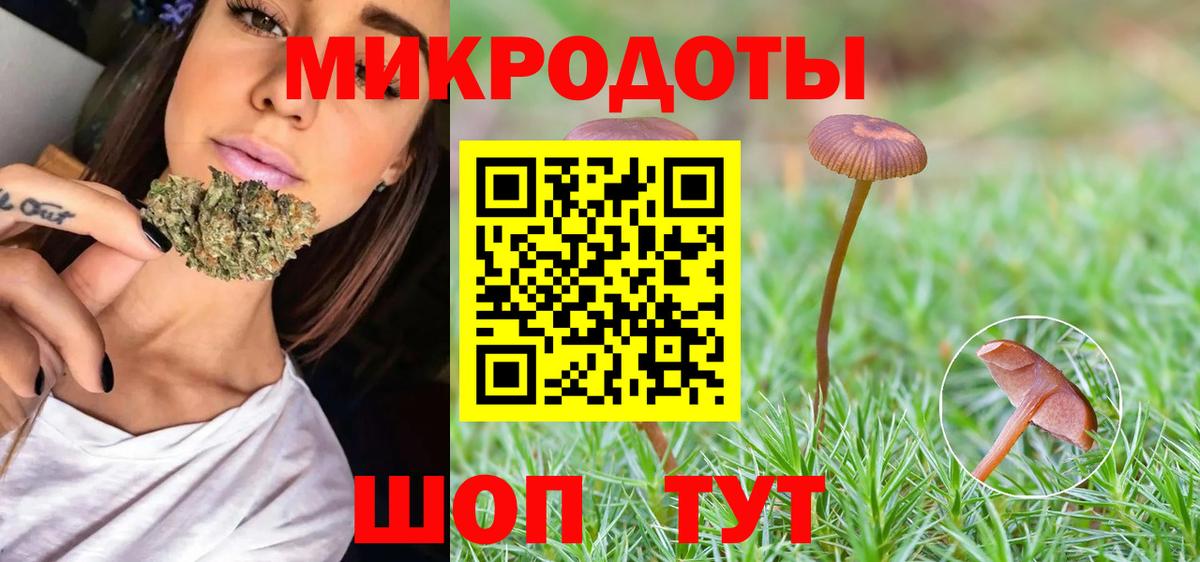 Галлюциногенные грибы Psilocybe  Псилоцибиновые грибы ЛСД  Тавда  Вход с VPN 